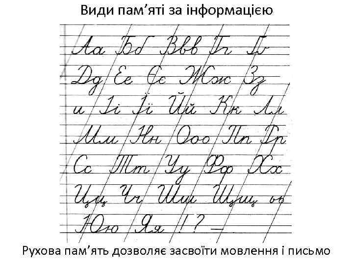 Види пам’яті за інформацією Рухова пам’ять дозволяє засвоїти мовлення і письмо 