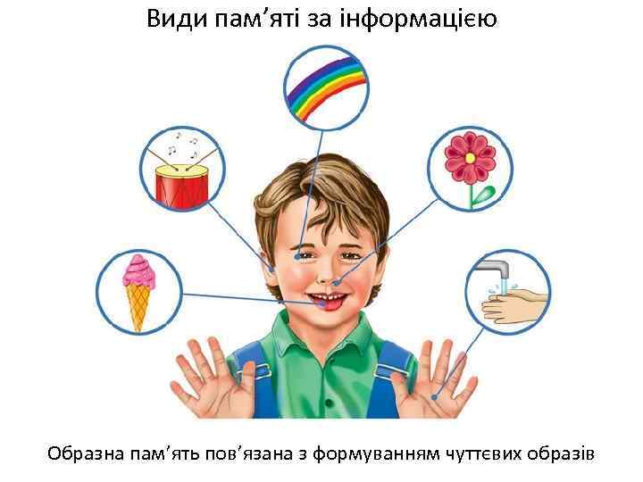 Види пам’яті за інформацією Образна пам’ять пов’язана з формуванням чуттєвих образів 