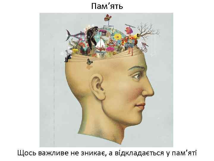 Пам’ять Щось важливе не зникає, а відкладається у пам’яті 
