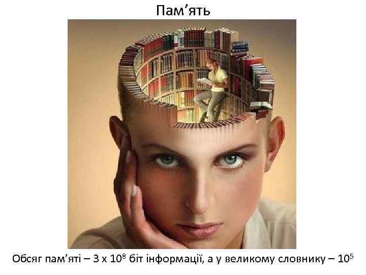 Пам’ять Обсяг пам’яті – 3 х 108 біт інформації, а у великому словнику –