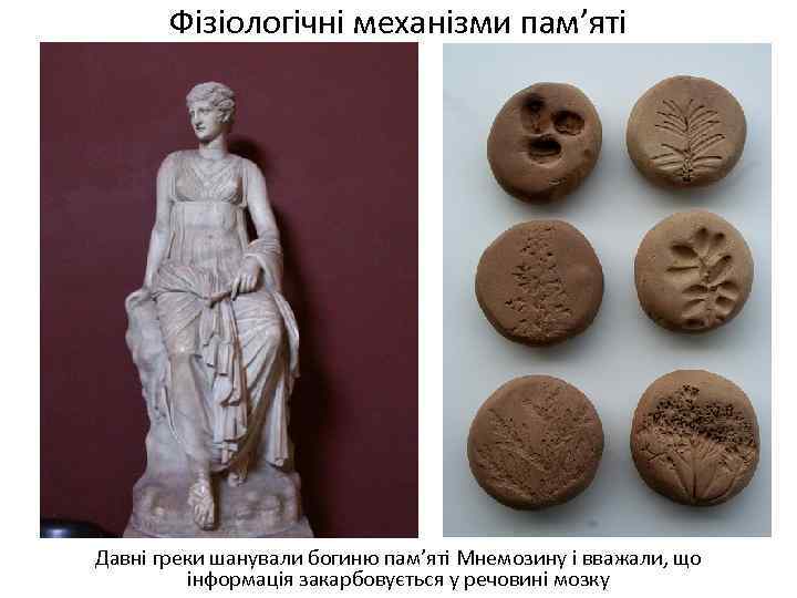 Фізіологічні механізми пам’яті Давні греки шанували богиню пам’яті Мнемозину і вважали, що інформація закарбовується
