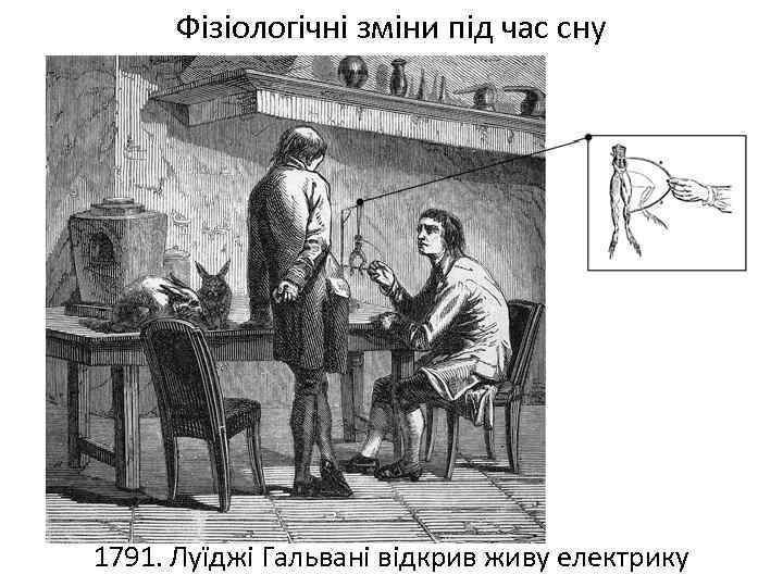 Фізіологічні зміни під час сну 1791. Луїджі Гальвані відкрив живу електрику 