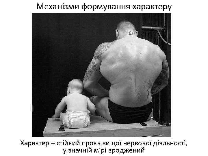 Механізми формування характеру Характер – стійкий прояв вищої нервової діяльності, у значній мірі вроджений