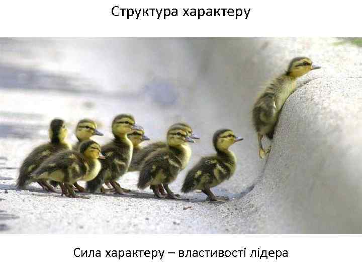 Структура характеру Сила характеру – властивості лідера 