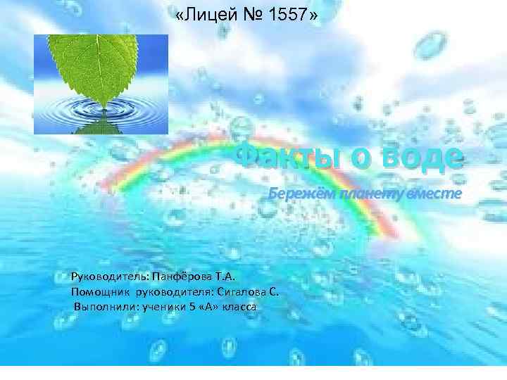  «Лицей № 1557» Факты о воде Бережём планету вместе Руководитель: Панфёрова Т. А.