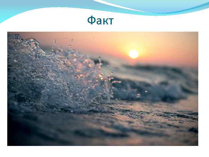  Факт 