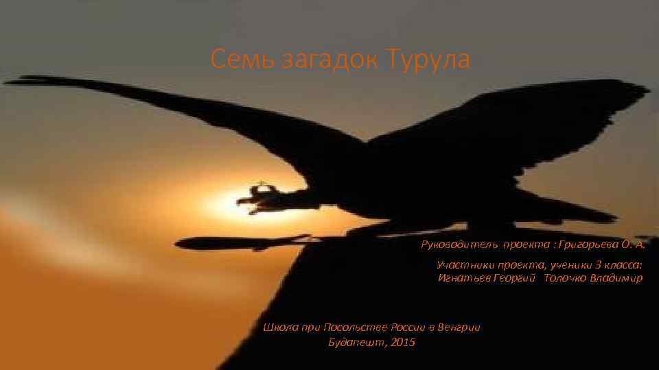 Семь загадок Турула Руководитель проекта : Григорьева О. А. Участники проекта, ученики 3 класса: