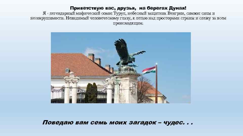 Приветствую вас, друзья, на берегах Дуная! Я - легендарный мифический сокол Турул, небесный защитник