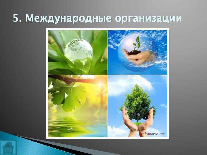 5. Международные организации 