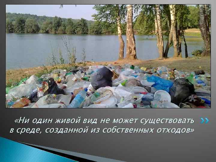  «Ни один живой вид не может существовать в среде, созданной из собственных отходов»