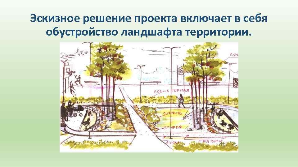Эскизное решение проекта включает в себя обустройство ландшафта территории. 