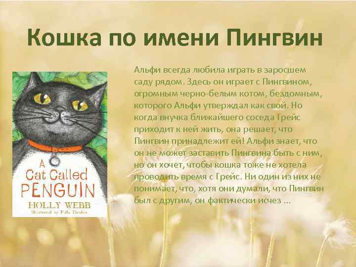 Кошка по имени Пингвин Альфи всегда любила играть в заросшем саду рядом. Здесь он