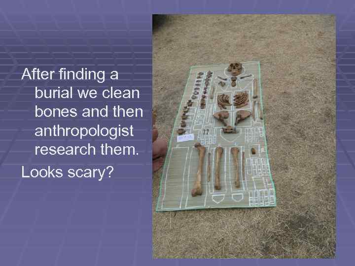 After finding a burial we clean bones and then anthropologist research them. Looks scary?
