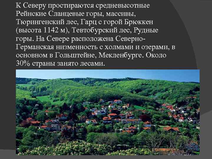  К Северу простираются средневысотные Рейнские Сланцевые горы, массивы, Тюрингенский лес, Гарц с горой