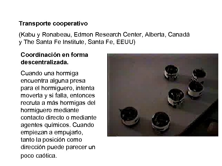 Transporte cooperativo (Kabu y Ronabeau, Edmon Research Center, Alberta, Canadá y The Santa Fe