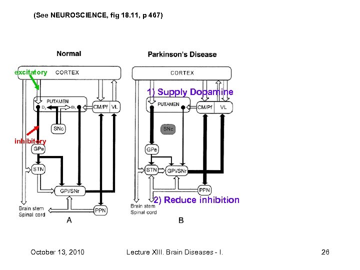 (See NEUROSCIENCE, fig 18. 11, p 467) excitatory 1) Supply Dopamine inhibitory 2) Reduce