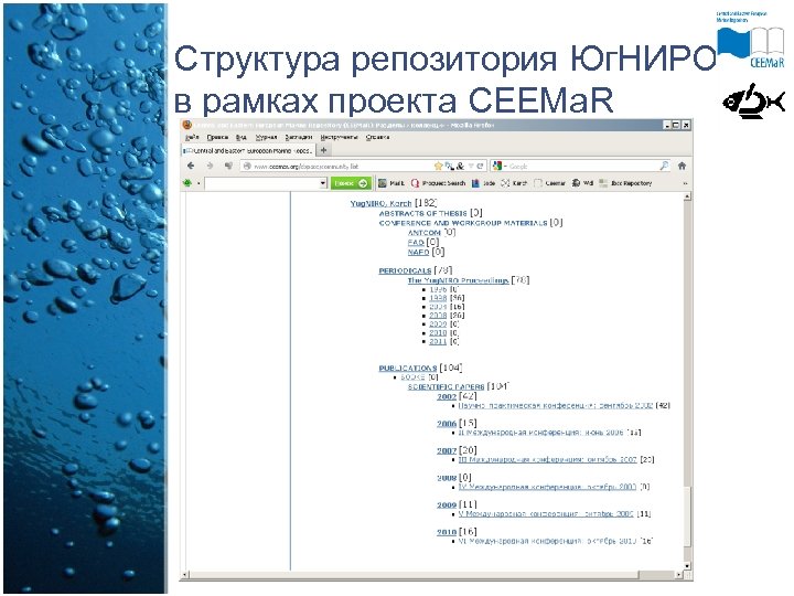 Структура репозитория Юг. НИРО в рамках проекта CEEMa. R 