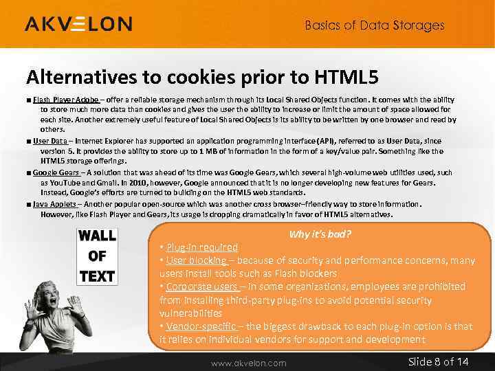 Basics of Data Storages Alternatives to cookies prior to HTML 5 ■ Flash Player