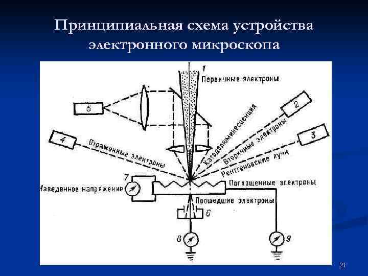 Принципиальная схема устройства электронного микроскопа 21 