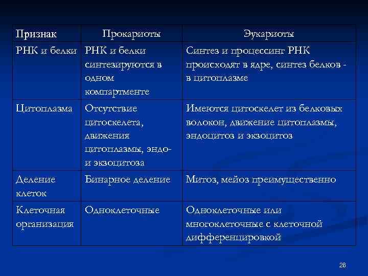 Прокариоты Признак РНК и белки синтезируются в одном компартменте Эукариоты Синтез и процессинг РНК