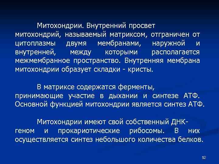 Митохондрии. Внутренний просвет митохондрий, называемый матриксом, отграничен от цитоплазмы двумя мембранами, наружной и внутренней,
