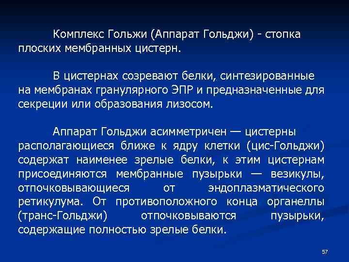 Комплекс Гольжи (Аппарат Гольджи) - стопка плоских мембранных цистерн. В цистернах созревают белки, синтезированные
