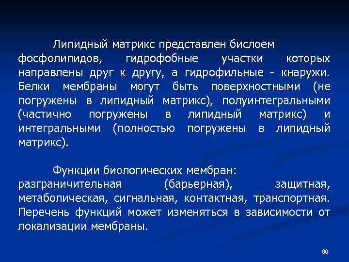 Липидный матрикс представлен бислоем фосфолипидов, гидрофобные участки которых направлены друг к другу, а гидрофильные