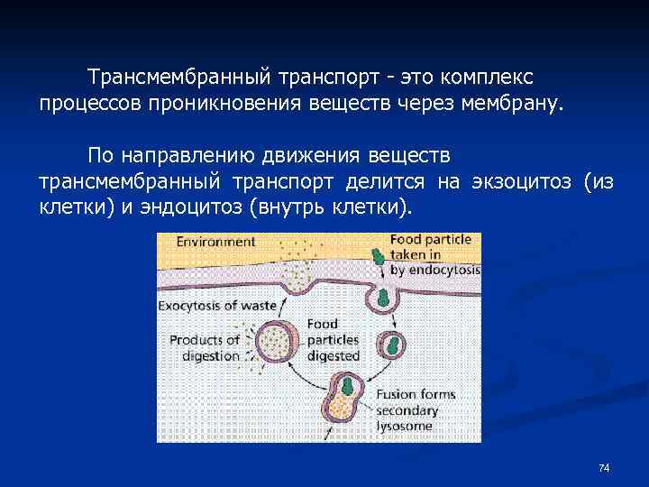 Трансмембранный транспорт - это комплекс процессов проникновения веществ через мембрану. По направлению движения веществ