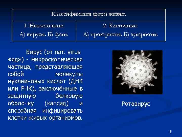 Классификация форм жизни. 1. Неклеточные. А) вирусы. Б) фаги. Вирус (от лат. vīrus «яд»