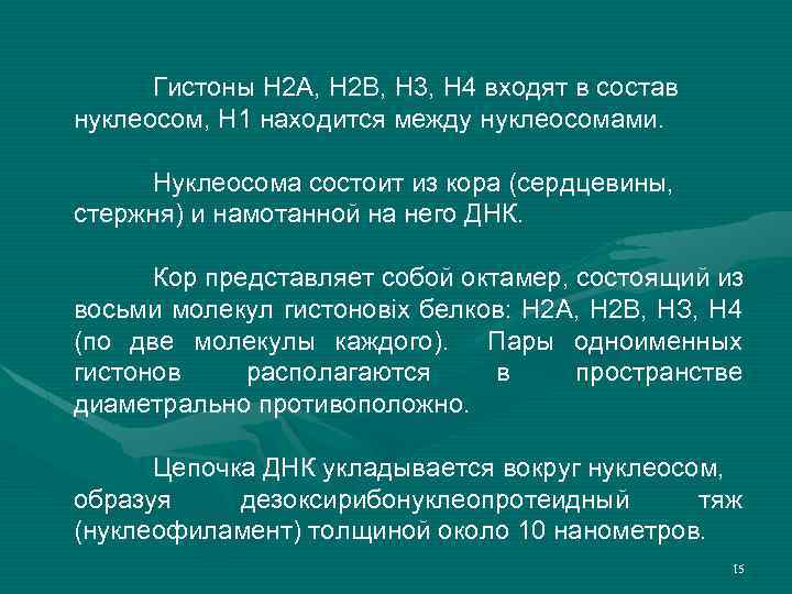 Гистоны Н 2 А, Н 2 В, Н 3, Н 4 входят в состав