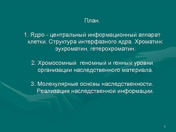 План. 1. Ядро - центральный информационный аппарат клетки. Структура интерфазного ядра. Хроматин: эухроматин, гетерохроматин.