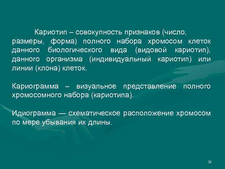 Кариотип – совокупность признаков (число, размеры, форма) полного набора хромосом клеток данного биологического вида