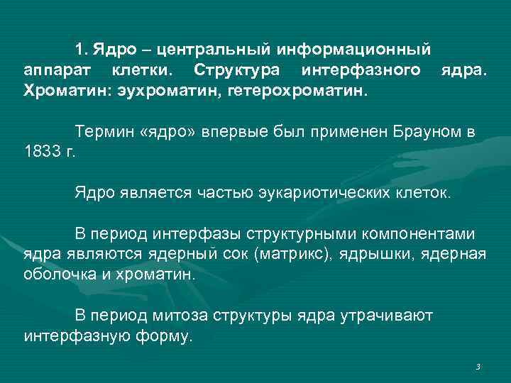 1. Ядро – центральный информационный аппарат клетки. Структура интерфазного ядра. Хроматин: эухроматин, гетерохроматин. Термин