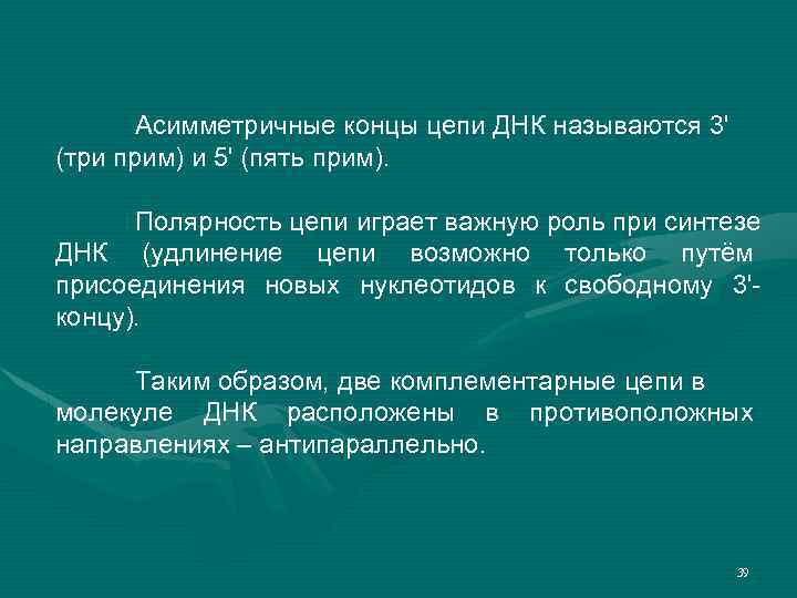 Асимметричные концы цепи ДНК называются 3' (три прим) и 5' (пять прим). Полярность цепи