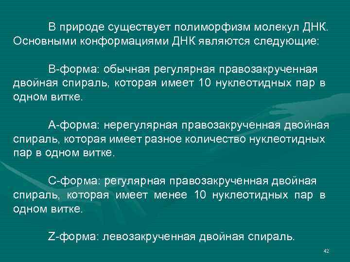 В природе существует полиморфизм молекул ДНК. Основными конформациями ДНК являются следующие: В-форма: обычная регулярная