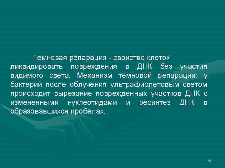 Темновая репарация - свойство клеток ликвидировать повреждения в ДНК без участия видимого света. Механизм