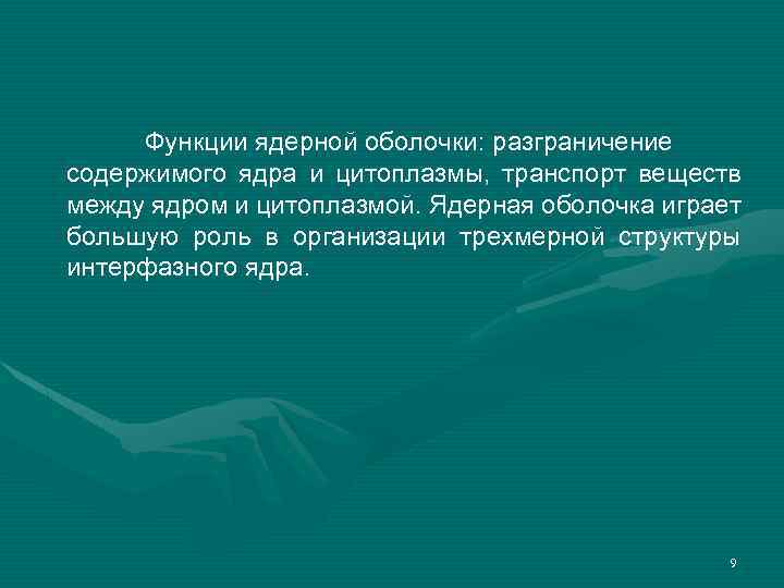 Функции ядерной оболочки: разграничение содержимого ядра и цитоплазмы, транспорт веществ между ядром и цитоплазмой.
