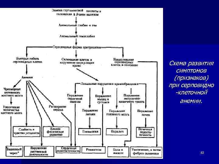 Схема развития симптомов (признаков) при серповидно -клеточной анемии. 83 