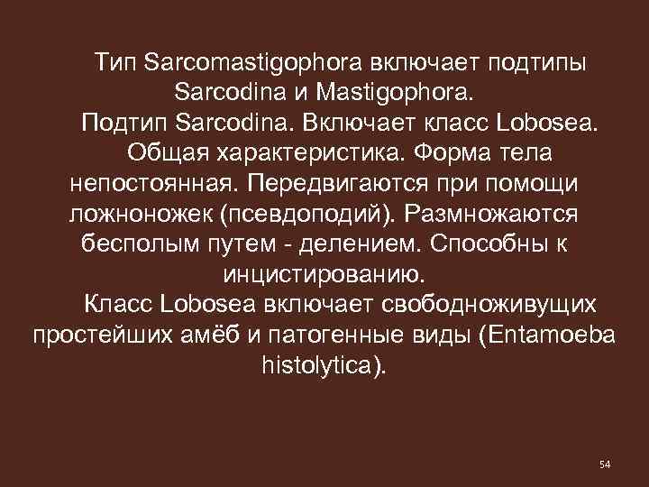Тип Sarcomastigophora включает подтипы Sarcodina и Mastigophora. Подтип Sarcodina. Включает класс Lobosea. Общая характеристика.