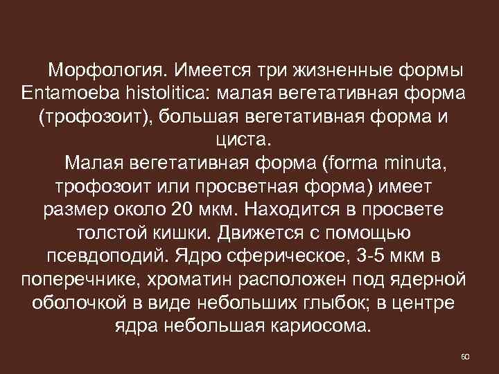 Морфология. Имеется три жизненные формы Entamoeba histolitica: малая вегетативная форма (трофозоит), большая вегетативная форма