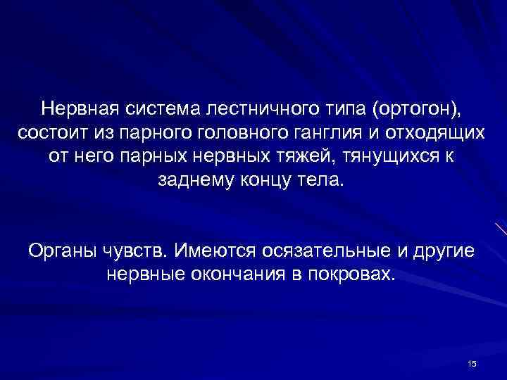 Нервная система лестничного типа (ортогон), состоит из парного головного ганглия и отходящих от него