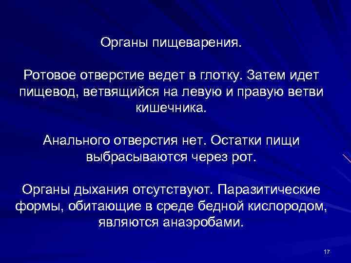 Органы пищеварения. Ротовое отверстие ведет в глотку. Затем идет пищевод, ветвящийся на левую и