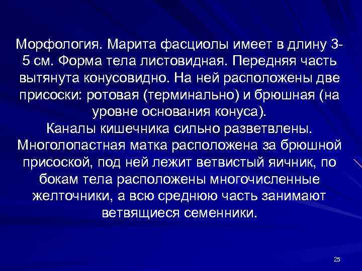 Морфология. Марита фасциолы имеет в длину 35 см. Форма тела листовидная. Передняя часть вытянута