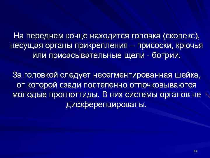 На переднем конце находится головка (сколекс), несущая органы прикрепления – присоски, крючья или присасывательные