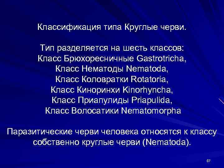 Классификация типа Круглые черви. Тип разделяется на шесть классов: Класс Брюхоресничные Gastrotricha, Класс Нематоды