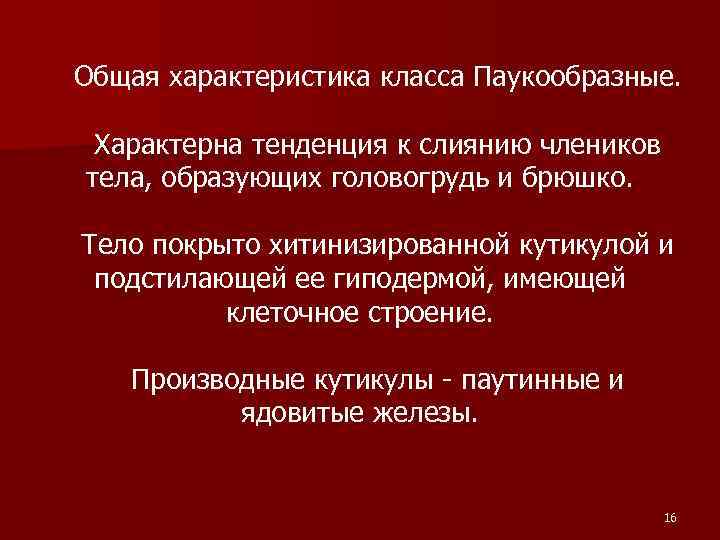 Общая характеристика класса Паукообразные. Характерна тенденция к слиянию члеников тела, образующих головогрудь и брюшко.