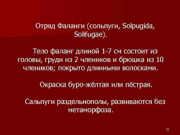 Отряд Фаланги (сольпуги, Solpugida, Solifugae). Тело фаланг длиной 1 -7 см состоит из головы,