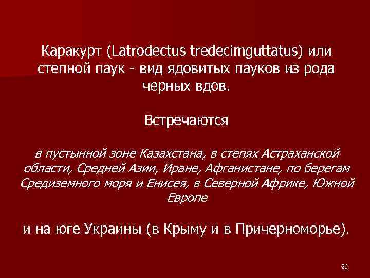 Каракурт (Latrodectus tredecimguttatus) или степной паук - вид ядовитых пауков из рода черных вдов.