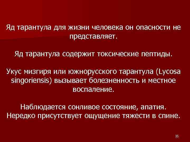 Яд тарантула для жизни человека он опасности не представляет. Яд тарантула содержит токсические пептиды.