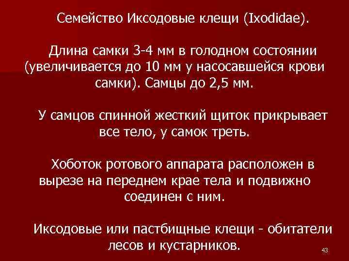 Семейство Иксодовые клещи (Ixodidae). Длина самки 3 -4 мм в голодном состоянии (увеличивается до